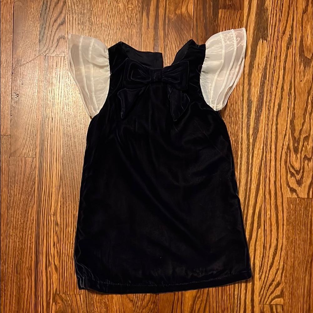 Velvet Dress with Sheer Sleeves